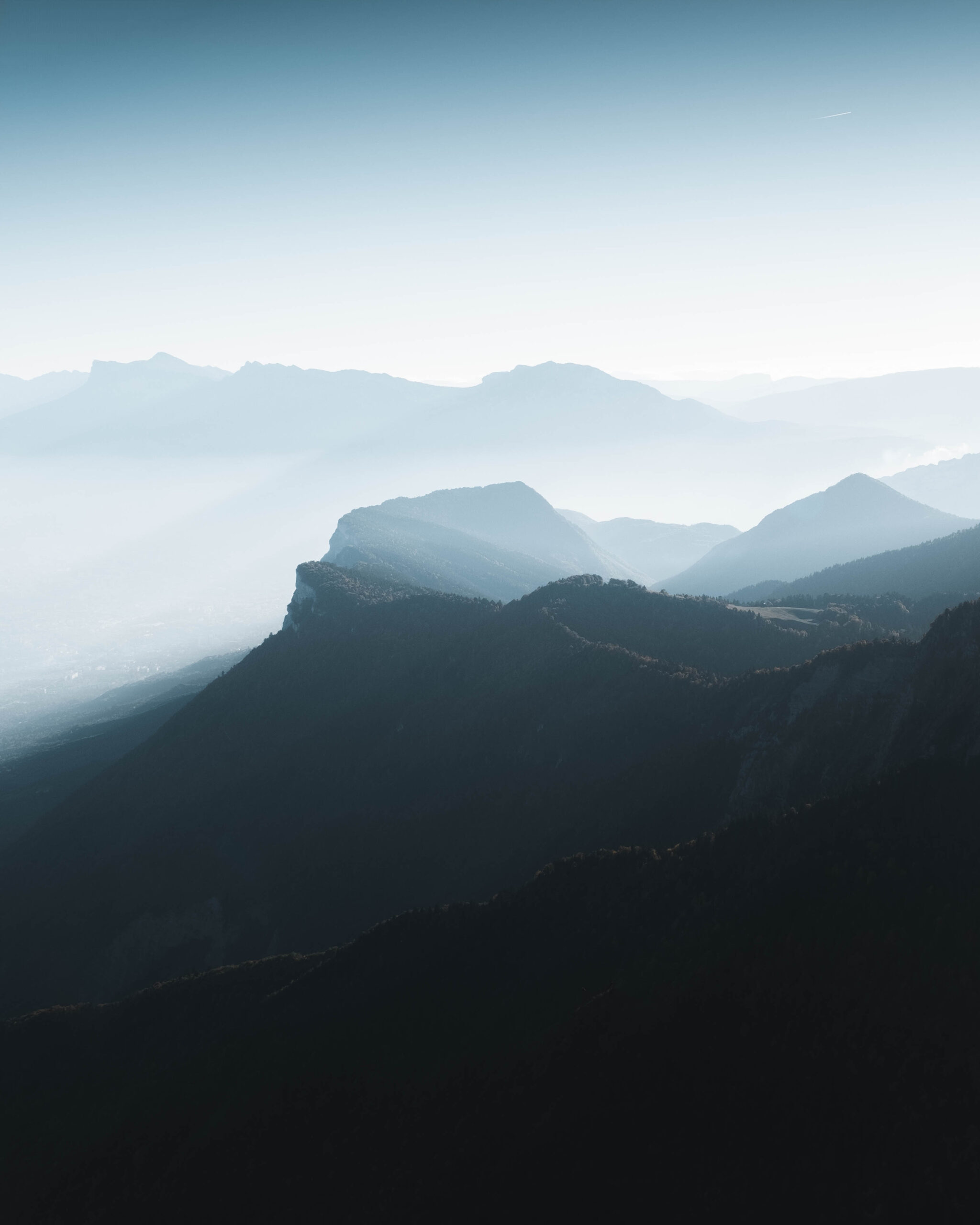 image00003 image00003 scaled