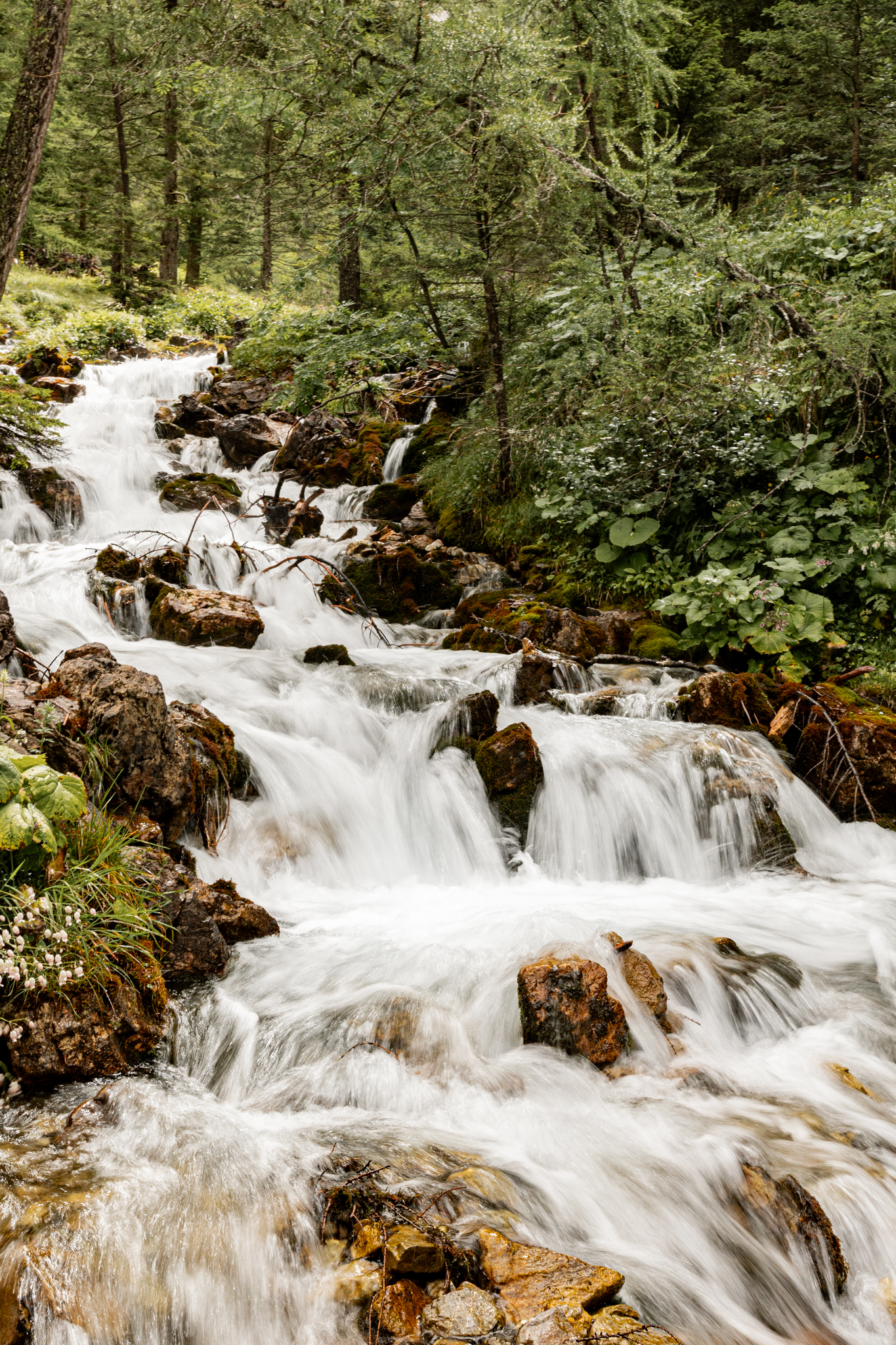 Never say cheese zomer 2025 LR-66 Never say cheese zomer 2025 LR 66