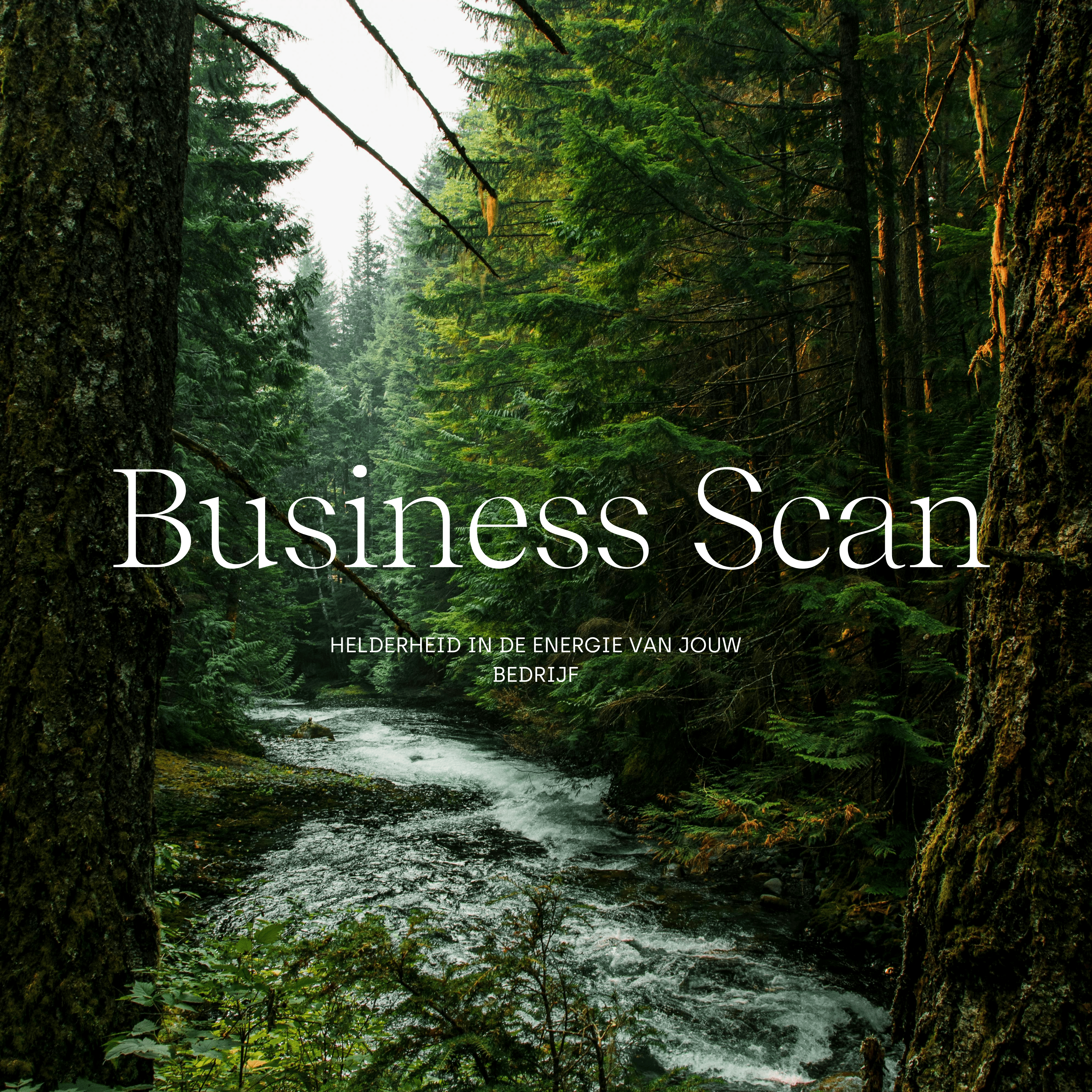 Visual vierkant Business Scan min